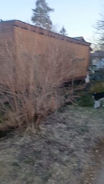 Утренняя прогулка с Санечкой