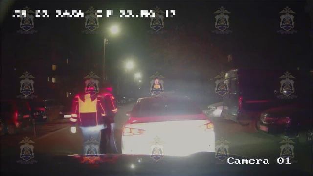 Сотрудники Госавтоинспекции в Новгородской области задержали иностранцев, незаконно находящихся в РФ