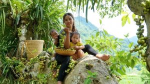 Мама поневоле. Дуонг. Собираю дикорастущие фрукты в жаркие солнечные дни для продажи. Серия 128