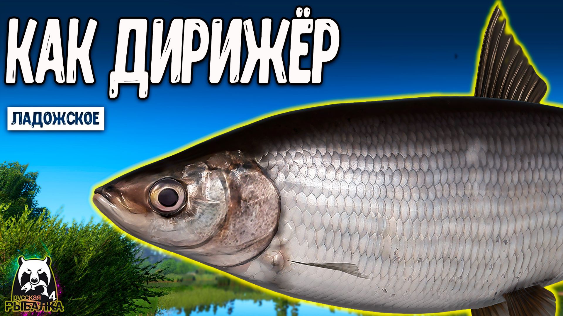 RF4 Конкретно удилищами как дирижёр работал #рр4