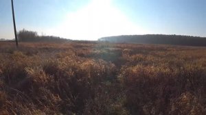 ЗАГОННАЯ ОХОТА