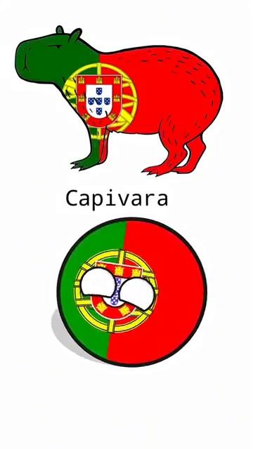 в начале 👍 в конец 💀 #countryballs #memes #мем #капибара