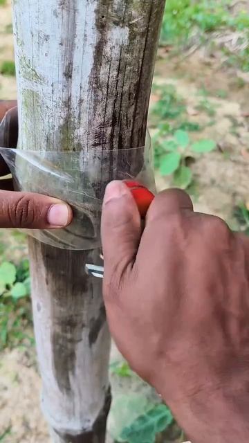 Не выбрасывайте пластиковые бутылки. Они точно пригодятся в хозяйстве.