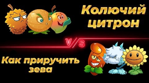 ПЕРВАЯ НЕ МОЯ СБОРКА В ЧЕМПИОНАТЕ: Колючий цитрон VS Как приручить зева!