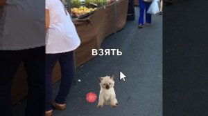 Ещё что то какое то что то