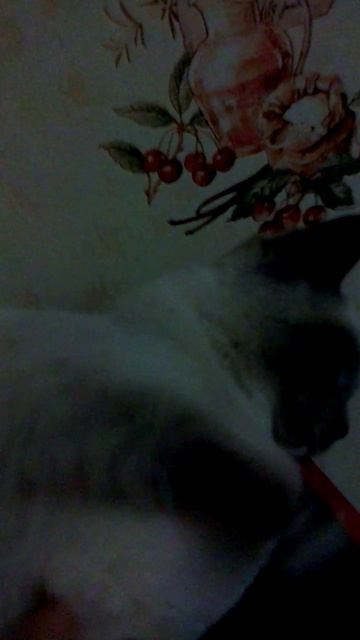 112)У ДОМА КУЗЯ