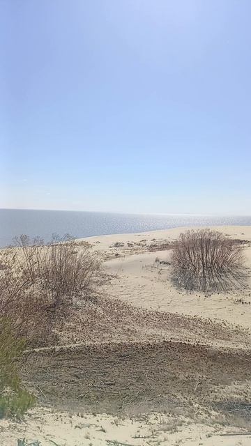 Куршская коса. Высота Эфа ... #куршскаякоса #высотаэфа #калининградскаяобласть