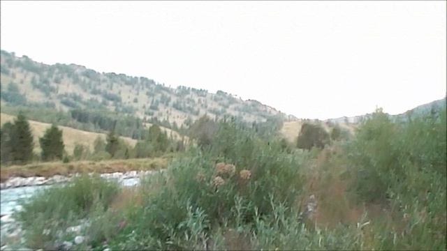 Август, сентябрь 2017