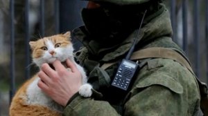 Песня Дружок - посвящается всем нашим защитникам, которые защищают Родину в зоне СВО.