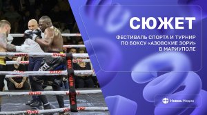 Кто кого уложил на ринге в Мариуполе?