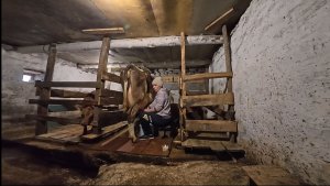 Хочется ответить. Все вдвоем