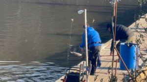 Вечер.Переходной СЗ