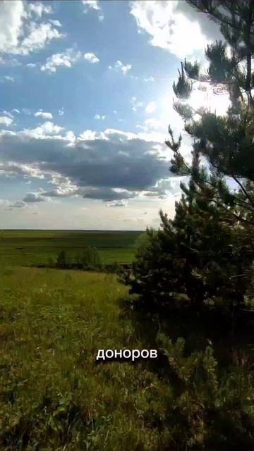 дальше развиваем тему? надо?