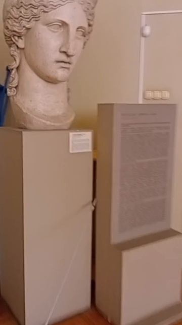 Музей им. Цветаева в РГГУ.