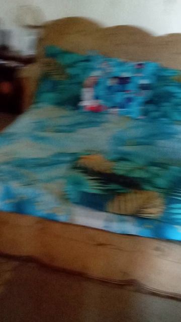 я выращиваю тыквы