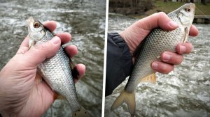 Поплавок 2026, открылся по плотве!