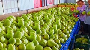 подборка массового производства