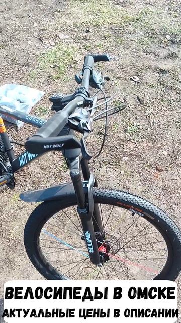 Велосипеды. Город Омск