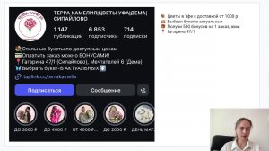 Разбор аккаунтов в соцсетях. Точки роста, рекомендации