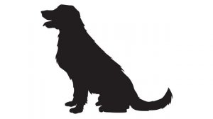 Черно-белые картинки для новорожденных | Животные