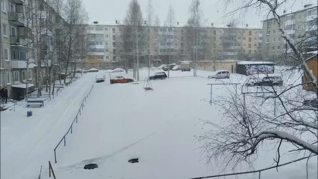 Двадцать первое январеля 😆 Горячий чай и мягкая, тёплая Масенька 🤗