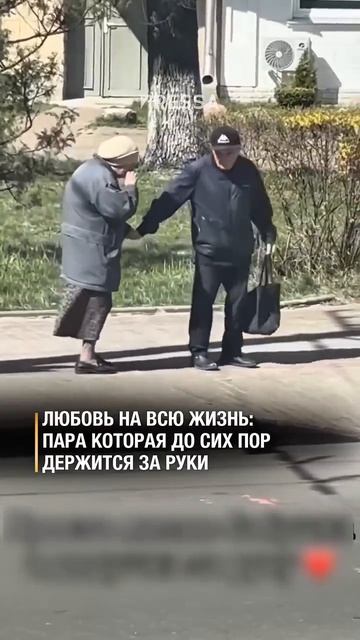 Видео от Департамент Вирусного Контента | ДВК