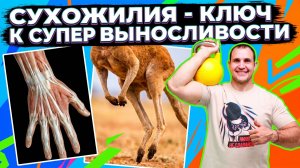 Ключ к супер выносливости