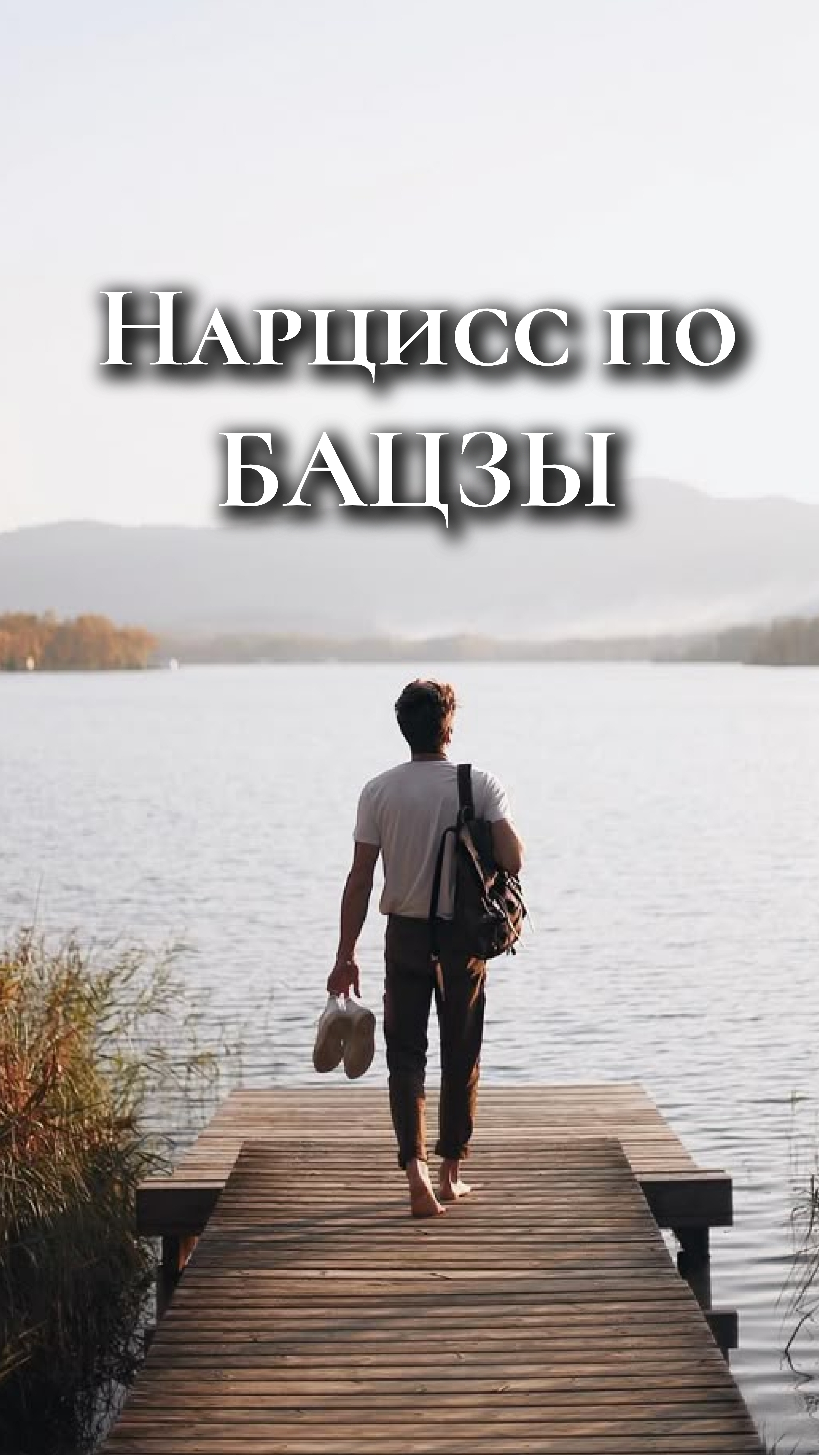 Нарциссы по Бацзы