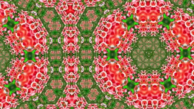 Футажи!!! Видеофоны!!! Футаж Феерия из Роз 5 от Киностудии Мудрого Кота Тимофея!!!