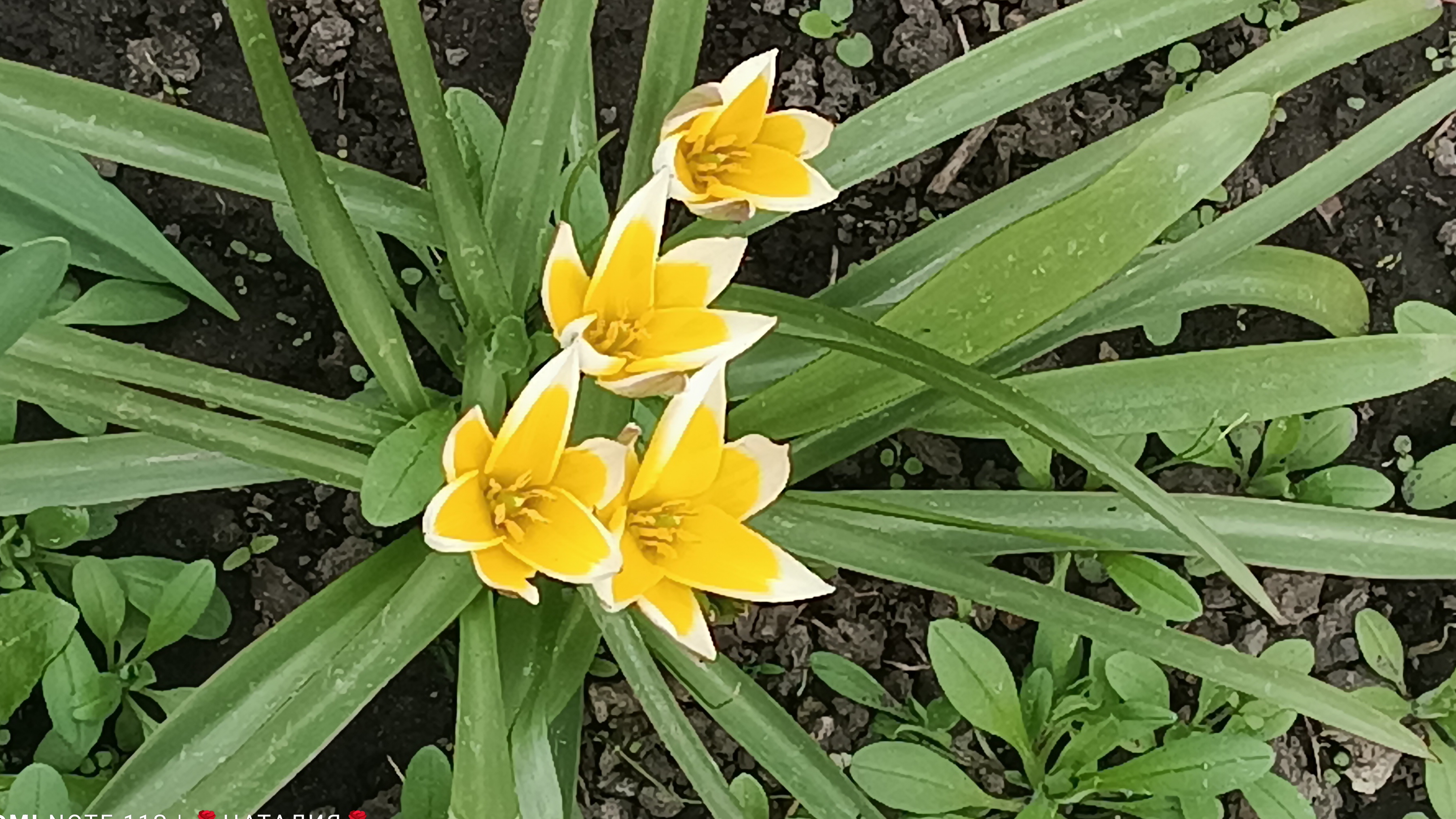 7 апреля 2026 года.