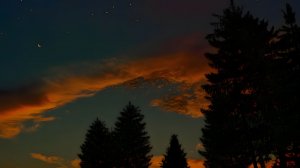 Сумерки в лесу.🌲🌙 Ночная атмосфера ASMR: естественное стрекотание сверчков для сна и расслабления.