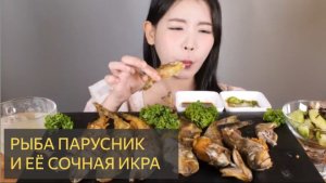Рыба-парусник [шоу с поеданием] мукбан, корейская кухня