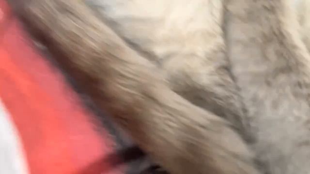 24 часа от первого лица