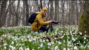 «Цветение подснежников» Фототур с Вячеславом Лузановым Крым март 2026 мини версия