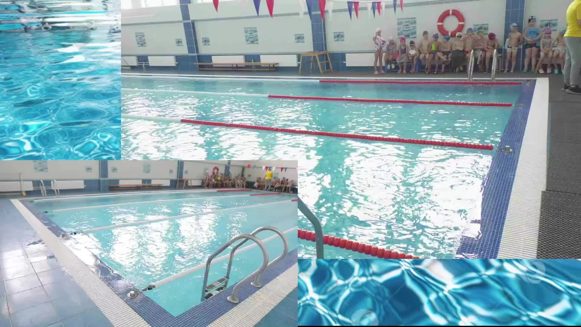 Соревнования по плаванию в школе 