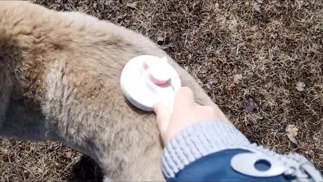 мой обычный день