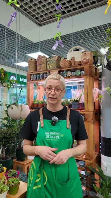 Если растение плохо себя чувствует. Что делать? Чем подкормить?