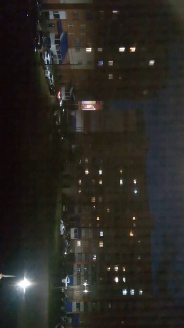 у меня во дворе лепидодедрон