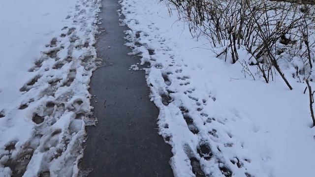 свободный образ на работу🩷советы блогерам/Оскар безобразник🫢