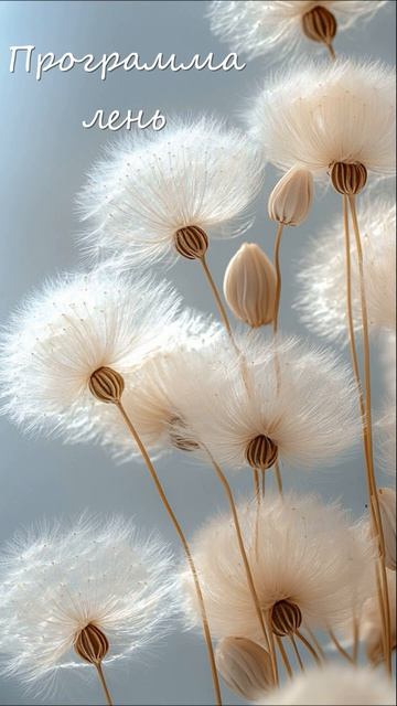 Программа лени