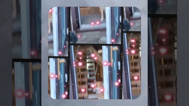 1000056731.mp4 (Собака наблюдает за устройством лестницы на 2-ой этаж в доме А-фрейм)