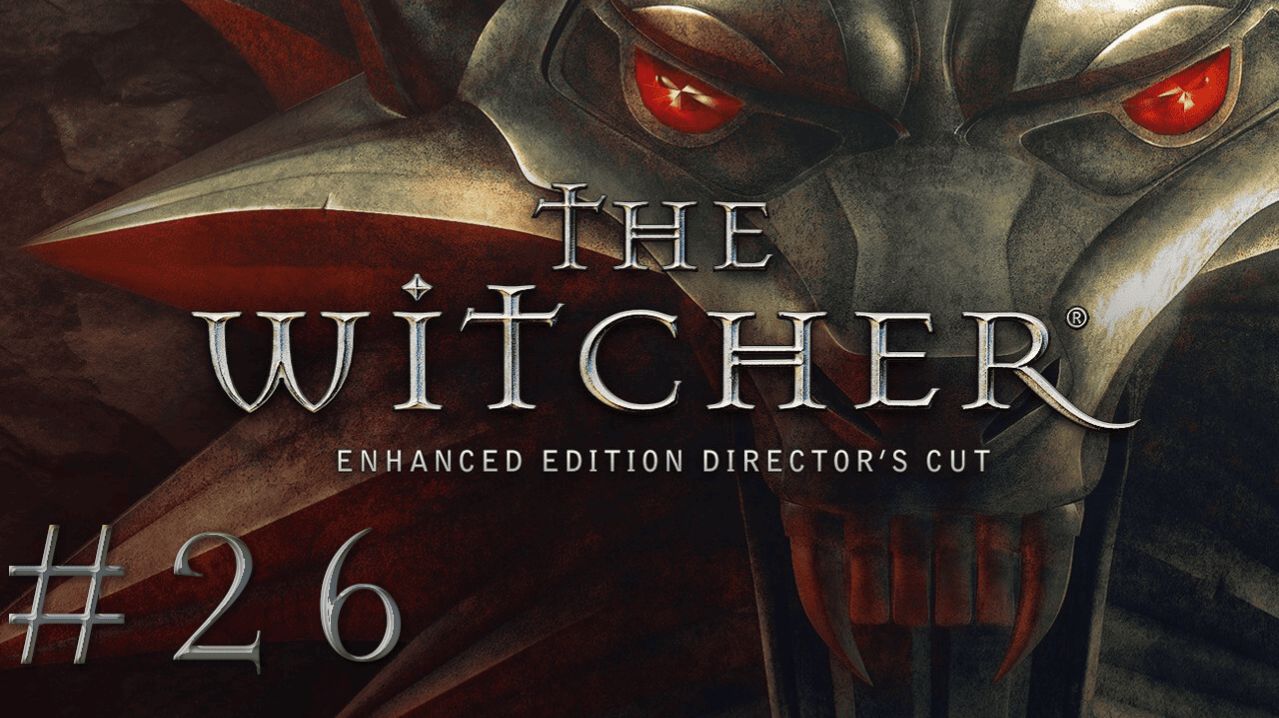 The Witcher [26]