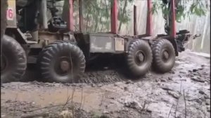 Россия, лесовозы и грязь по кабину — назад пути нет