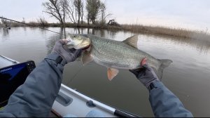 Ловля жереха на кренки в Астрахани. Долгожданная рыбалка 2026! Часть 1.