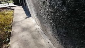 Плодотворно снимаю для своего блога