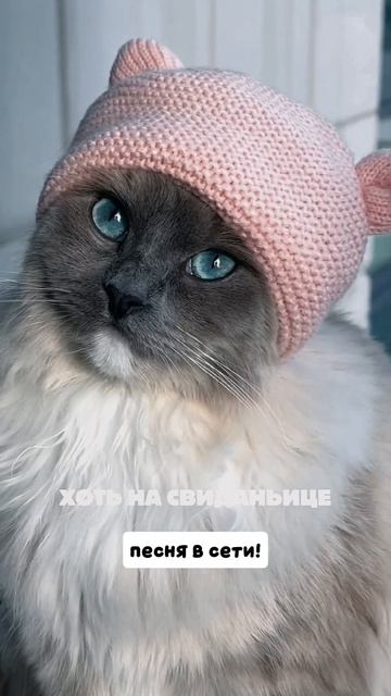 #майлз #растопила