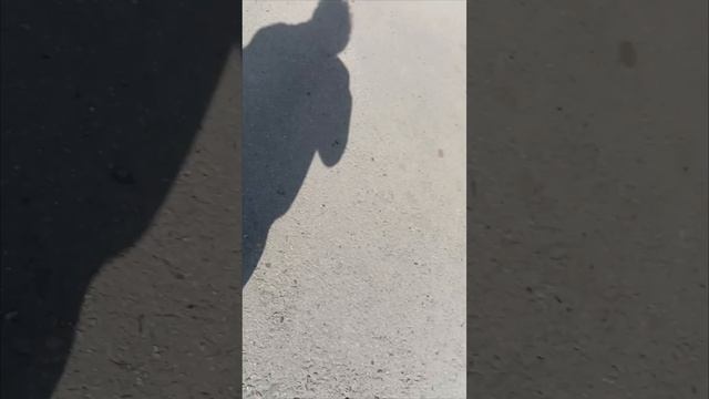 3 любимых места