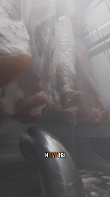 Сделал сырокопченое мясо за 5 дней 😳