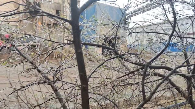 ЧУДО ПРИРОДЫ 🌱