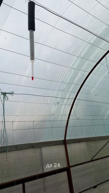 У дедушки в теплице 🌱